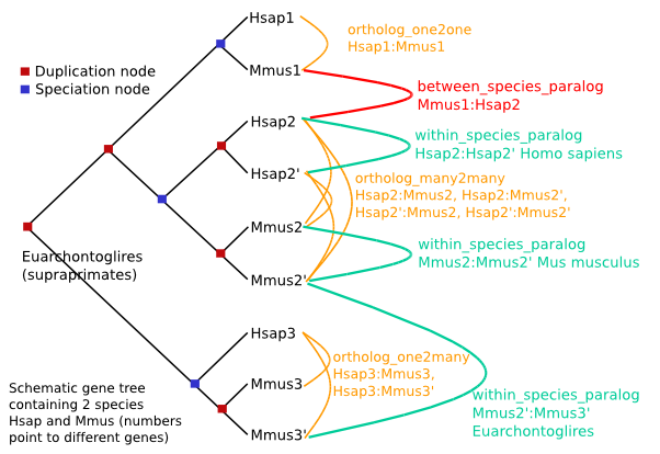 tree_example1